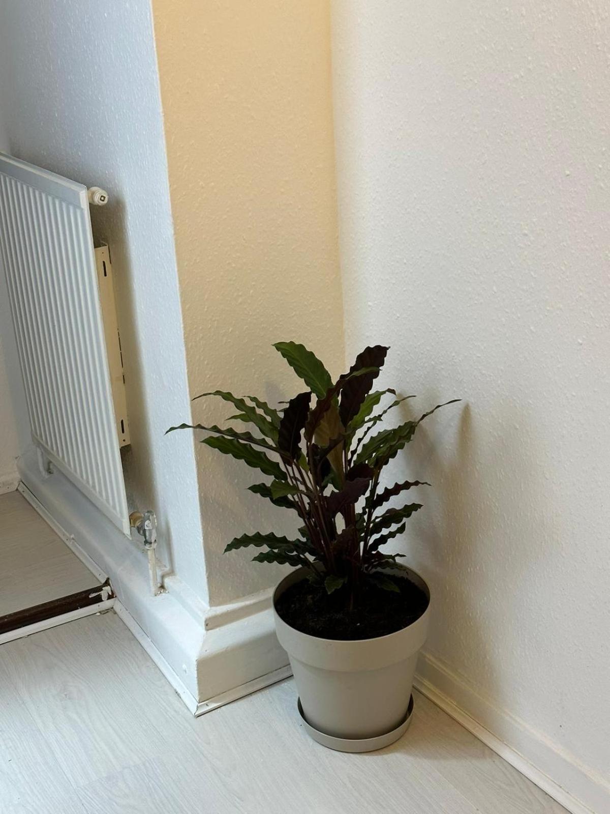 3 Bedroom King Cross Station City Centre Londres Extérieur photo